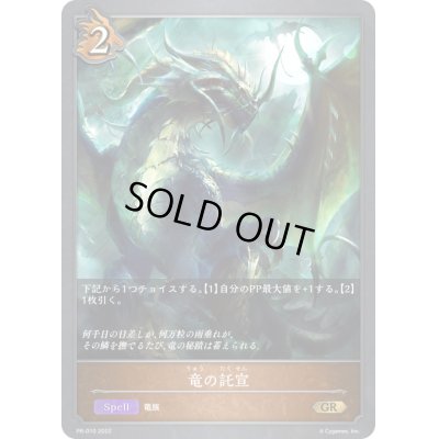 画像1: 〔状態C〕竜の託宣【PR】{PR-010}