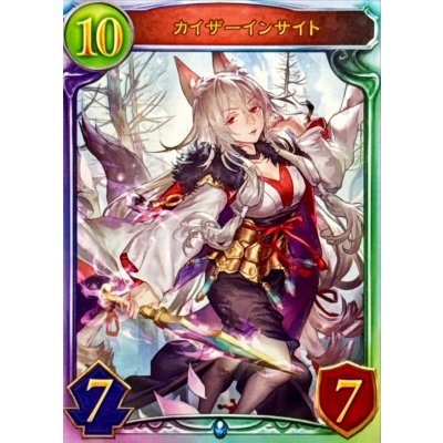 画像1: 〔状態A-〕カイザーインサイト【リアルプロモ】{-}