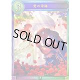 〔状態A-〕愛の奇跡【リアルプロモ】{-}