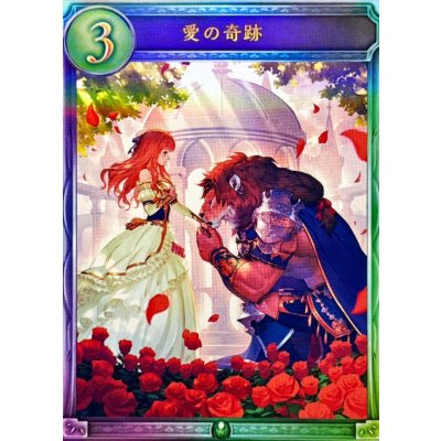 画像1: 〔状態B〕愛の奇跡【リアルプロモ】{-}《エルフ》