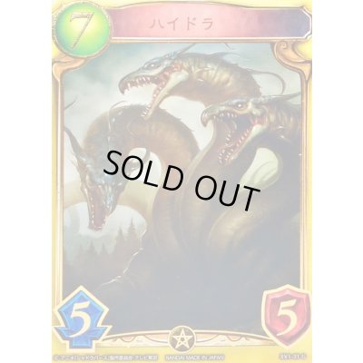 画像1: 〔状態A-〕ハイドラ(アニメ)【リアルプロモ】{SV1-31}《ドラゴン》