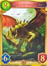 エンシェントフォレストドラゴン(アニメ)【リアルプロモ】{SV1-27}《エルフ》