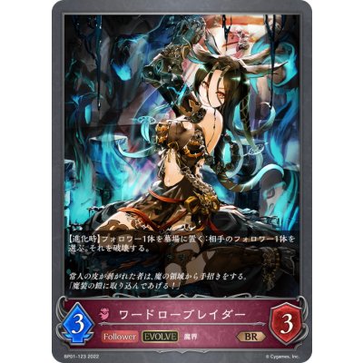画像1: ワードローブレイダー(EVOLVE)【BR】{BP01-123}