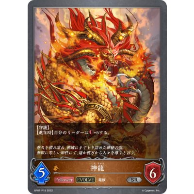 画像1: 神龍(EVOLVE)【SR・プレミアム】{BP01-P18}