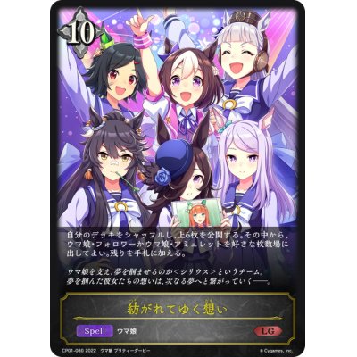 画像1: 紡がれてゆく想い【LG】{CP01-080}