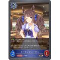 トーセンジョーダン【BR】{CSD01-020}