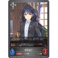 樫本理子【BR】{CSD01-030}