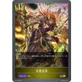 疾風怒涛【PR】{PR-120}