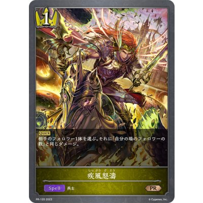 疾風怒涛【PR】{PR-120}
