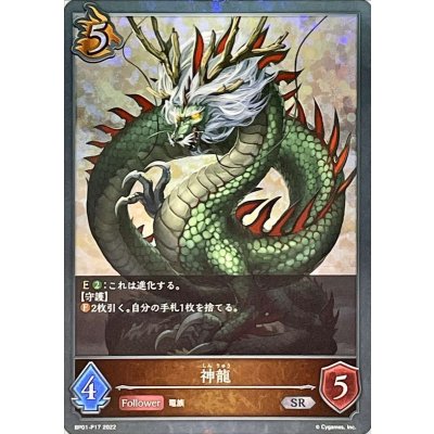 〔状態A-〕神龍【SR・プレミアム】{BP01-P17}