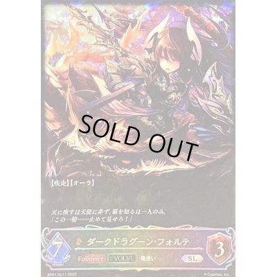 画像1: 〔状態B〕ダークドラグーン・フォルテ(EVOLVE)【SL】{BP01-SL11}