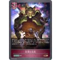 狂奔の毛皮【BR】{BP06-089}