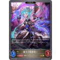 〔状態B〕鋼刃の暗器使い(EVOLVE)【GR】{BP06-095}