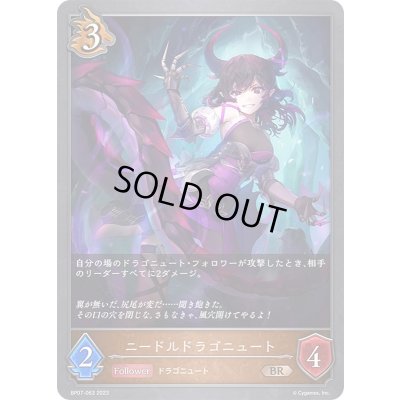 画像1: ニードルドラゴニュート【BR】{BP07-063}《ドラゴン》