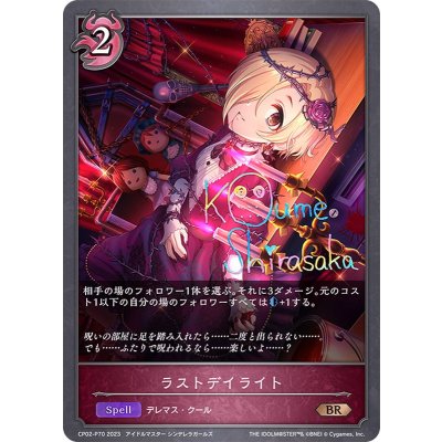 画像1: ラストデイライト【BR・プレミアム】{CP02-P70}