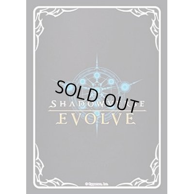 画像1: スリーブ『Vol.1 Shadowverse EVOLVE』【サプライ】{-}