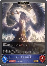 〔状態A-〕マナリアの白竜/マナリアの黒竜(EVOLVE)【GR】{BP09-039}