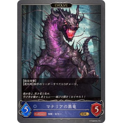 画像2: マナリアの白竜/マナリアの黒竜(EVOLVE)【GR】{BP09-039}
