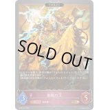 〔状態B〕血統の王(EVOLVE)【GR】{BP09-073}