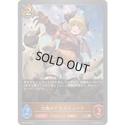 画像1: 〔状態A-〕大地のドラゴニュート【BR】{BP13-067}