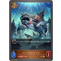 コーラルシャーク【BR】{BP13-069}