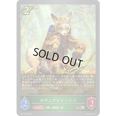 画像1: 〔状態A-〕ガザニアフォックス【BR・プレミアム】{BP13-P04}