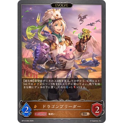画像1: ドラゴンブリーダー(EVOLVE)【BR】{BP14-065}