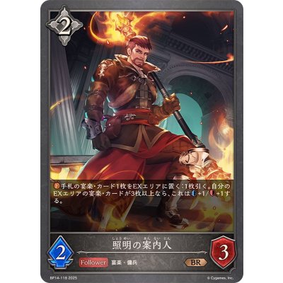 照明の案内人【BR】{BP14-118}