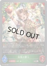 採集の獣人【SR・プレミアム】{BP17-P02}《エルフ》