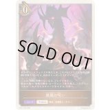 黒龍の呪い(トークン)【プレミアム】{BP17-P33}