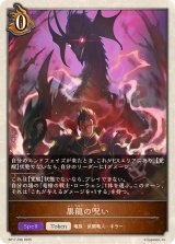 黒龍の呪い(トークン)【-】{BP17-T06}