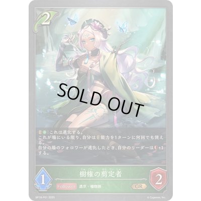 画像1: 樹権の剪定者【GR・プレミアム】{BP18-P01}