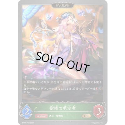 画像1: 〔状態A-〕樹権の剪定者(EVOLVE)【GR・プレミアム】{BP18-P02}