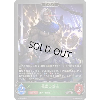 画像1: 〔状態A-〕樹都の拳士(EVOLVE)【SR・プレミアム】{BP18-P06}
