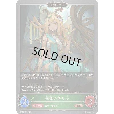 画像1: 〔状態A-〕樹律の祈り子(EVOLVE)【BR・プレミアム】{BP18-P08}《エルフ》