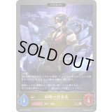 俯瞰の捜査員(EVOLVE)【GR・プレミアム】{BP18-P10}《ロイヤル》