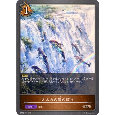 画像1: オルカの滝のぼり【BR・プレミアム】{BP18-P31}