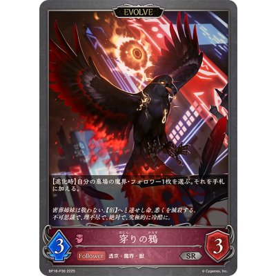 画像1: 穿りの鴉(EVOLVE)【SR・プレミアム】{BP18-P36}