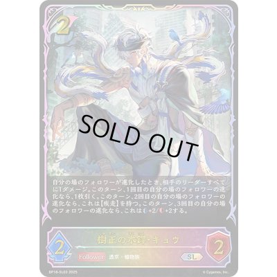 画像1: 〔状態A-〕樹正の木鐸・キョウ【SL】{BP18-SL03}