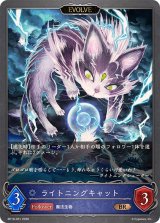 ライトニングキャット(EVOLVE)【BR】{BP19-051}《ウィッチ》