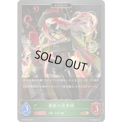 画像1: 〔状態A-〕葉脈の舎弟頭(EVOLVE)【GR・プレミアム】{BP19-P02}《エルフ》