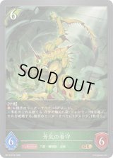 〔状態A-〕芳気の看守【GR・プレミアム】{BP19-P03}《エルフ》