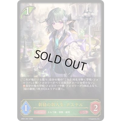 画像1: 〔状態A-〕新緑の新入生・カステル【LG】{BP21-001}《エルフ》