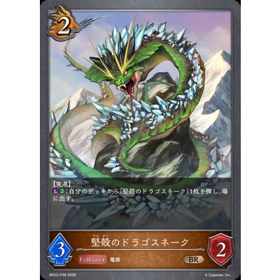 画像1: 堅殻のドラゴスネーク【BR・プレミアム】{BP22-P38}《ドラゴン》