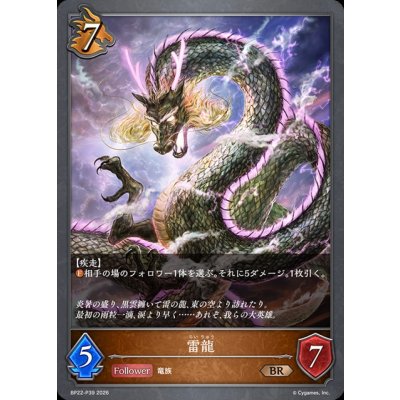画像1: 雷龍【BR・プレミアム】{BP22-P39}《ドラゴン》