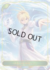 〔状態B〕[正義の風]蒼龍レオン(リーダー)【-】{CP03-LD01}