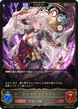 カイザーインサイト(EVOLVE)【LG】{CP04-110}《ニュートラル》