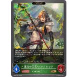 薫交の天宮・バックウッド(EVOLVE)【GR】{EBD01-011}