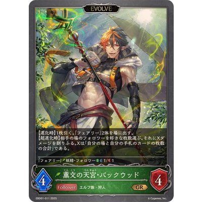 画像1: 薫交の天宮・バックウッド(EVOLVE)【GR】{EBD01-011}