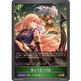 重なり合う決意【GR】{EBD01-012}